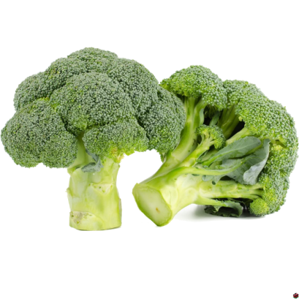 Broccoli From Fineblooms Ventures
