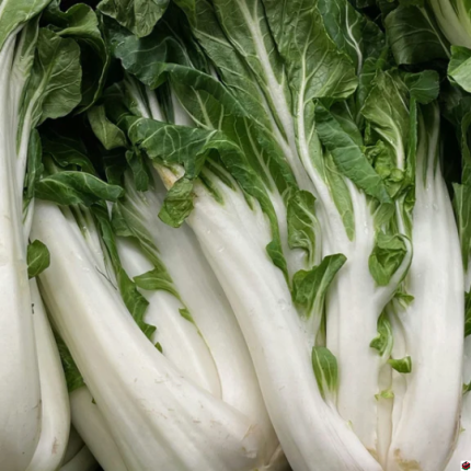 Pak Choi at FineBlooms Ventures